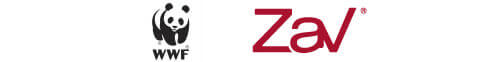 WWF | Zav